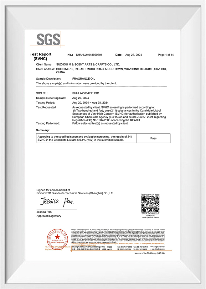 REACH test report