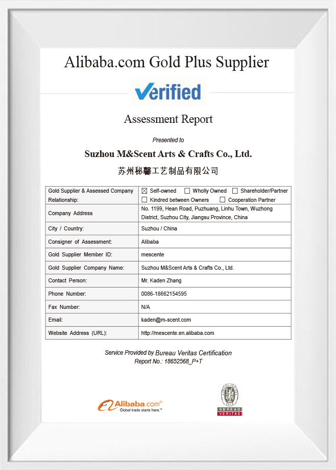 (BV)Supplier assessment report